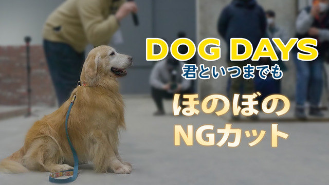 『DOG DAYS 君といつまでも』©2024 CJ ENM Co., Ltd. ALL RIGHTS RESERVED