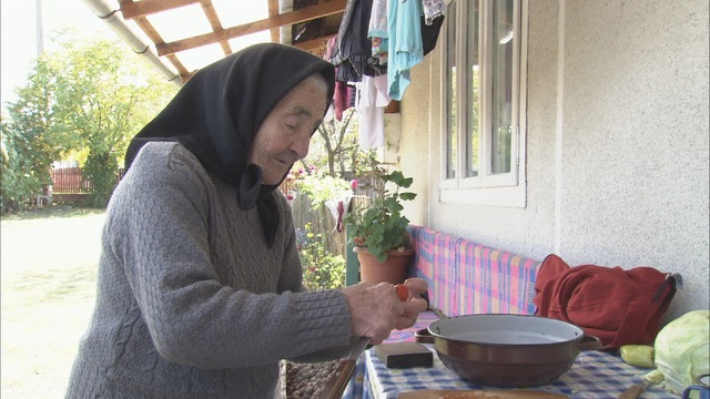 NHK総合テレビ「地球イチバン」ルーマニア篇